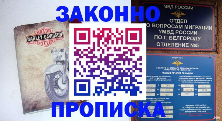 прописка для школы в Изобильном